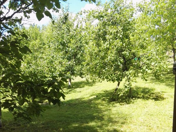 Weekend w Piotrawinie ;)