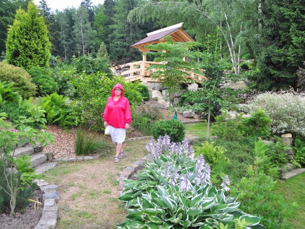 Siruwia Ogród Japoński