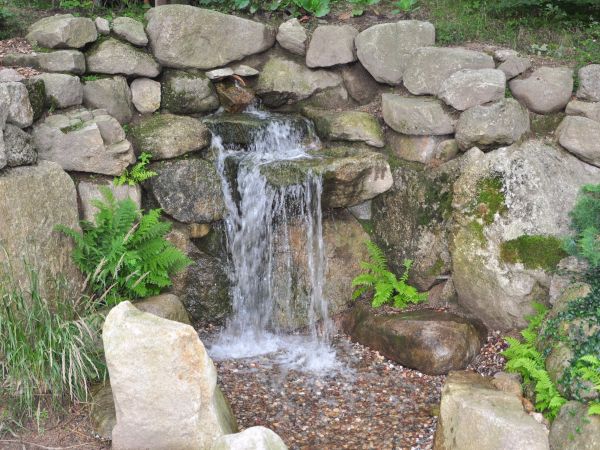 Siruwia Ogród Japoński