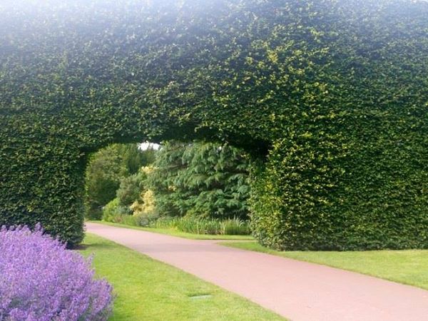 Jeszcze trochę wspomnień z Edynburga...