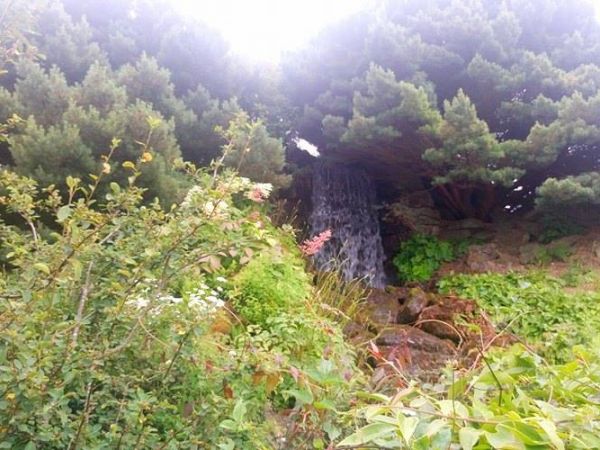 Jeszcze trochę wspomnień z Edynburga...