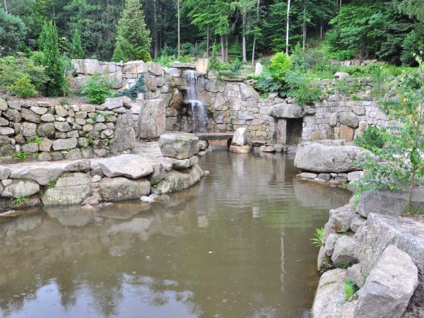 Siruwia Ogród Japoński