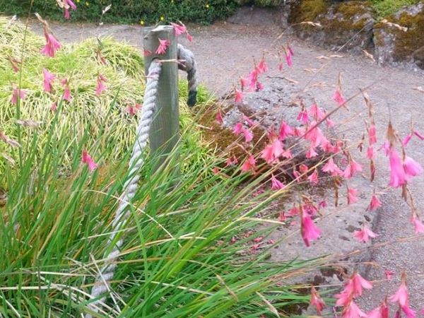 Jeszcze trochę wspomnień z Edynburga...