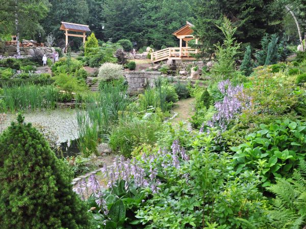 Siruwia Ogród Japoński