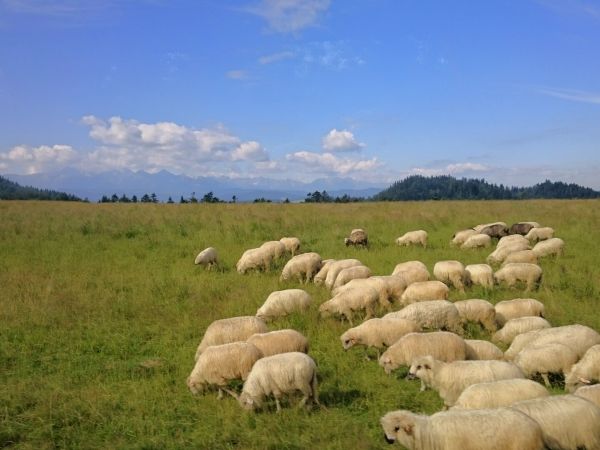 "Konkurs: Podróżuje, bo lubię"