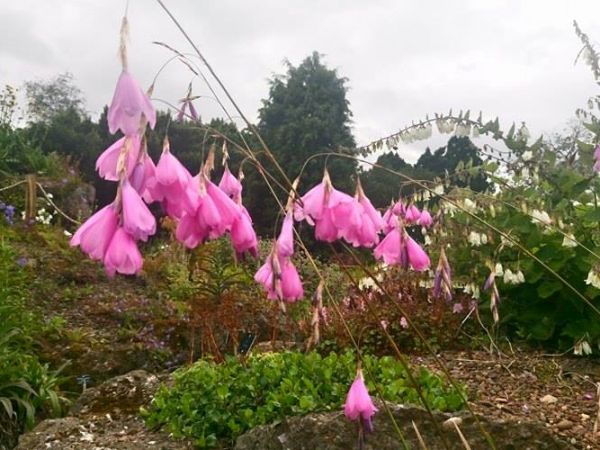 Jeszcze trochę wspomnień z Edynburga...