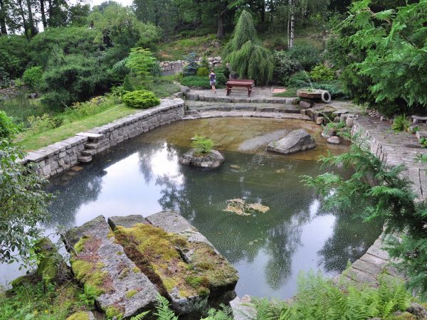 Siruwia Ogród Japoński