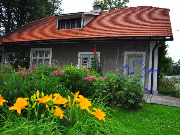 Centrum Kultury i Sztuki 