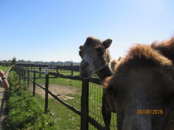 Nocleg i zwiedzanie pięknego ZOO