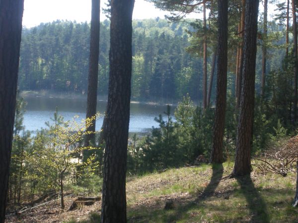 Idealne miejsce na urlop - Zwierzyniec ;)
