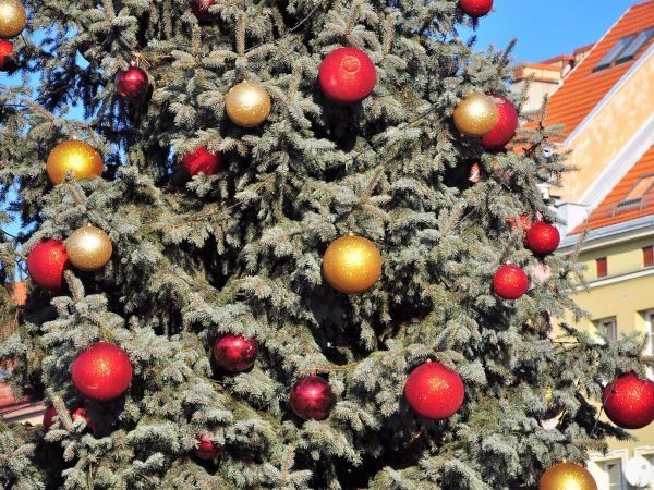 Świąteczny Wodzisław Śl.