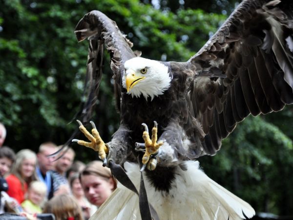 Leśny Park Niespodzianek