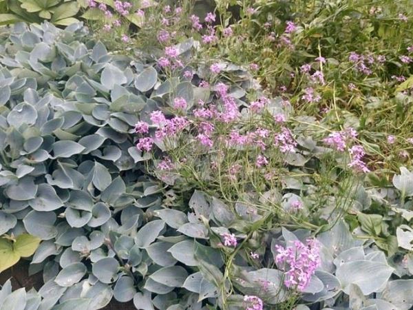 Jeszcze trochę wspomnień z Edynburga...