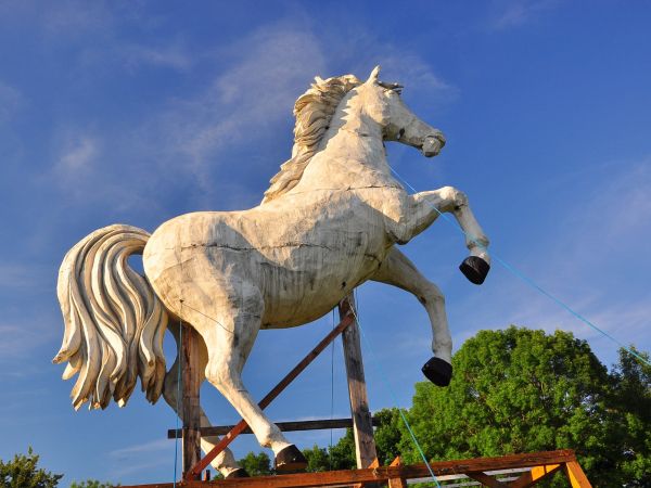 Centrum Kultury i Sztuki 