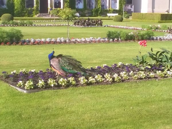 Z wizytą u Zamoyskich w Kozłówce ;)