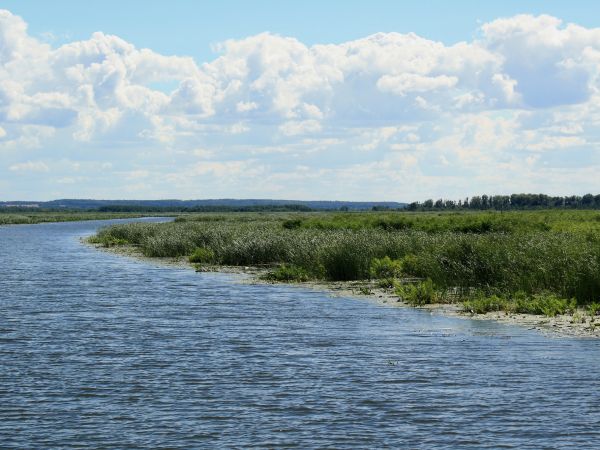 Elbląg - Jezioro Druzno