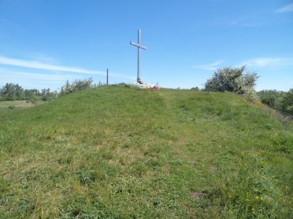 Grodzisko w Wyszogrodzie