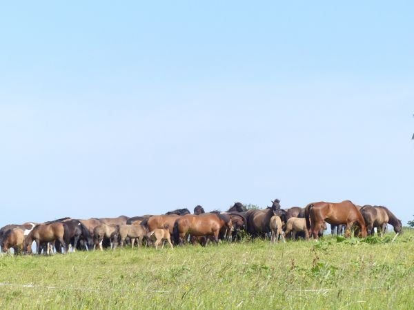 Bieszczadzki Park Narodowy
