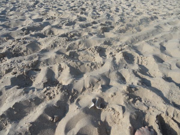 #piasek #beach #sand #plaża