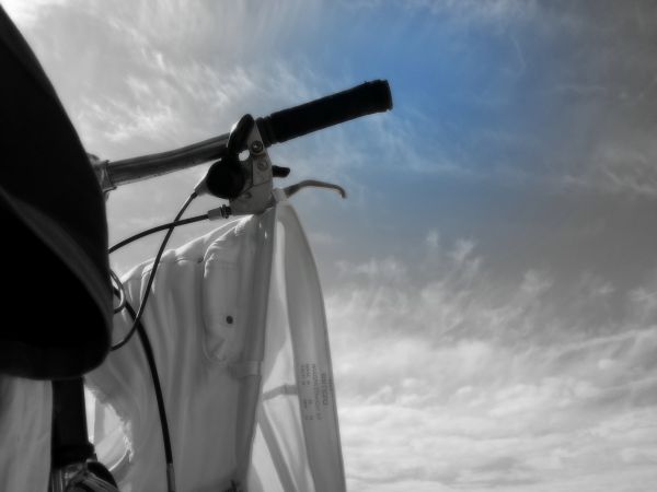 Karwieńskie Błota ,sierpień 2017 r.