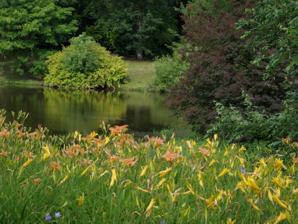 Ogród Dendrologiczny Przelewice