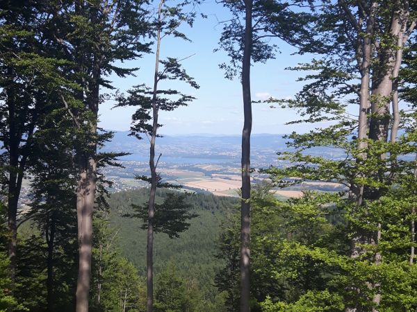 Szlakiem na Skrzyczne