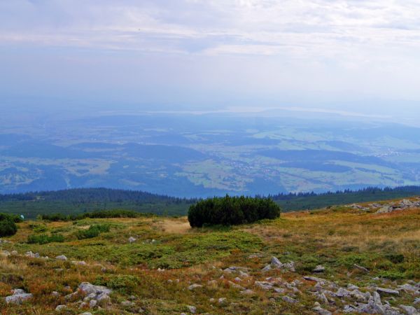 Widoki z Babiej Góry