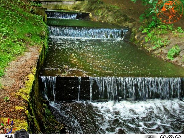 ⚐..w parku(♤↟↟↟♧) zdrojowym Połczyna-Zdroju