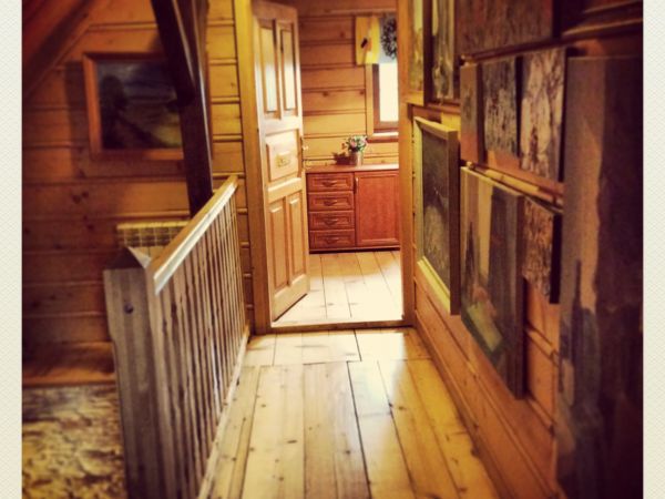 Gniazdo w Felicjanowie - Felicjanów Historie