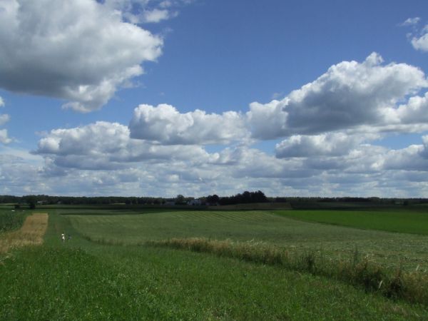 bociany w Tajnie 2016