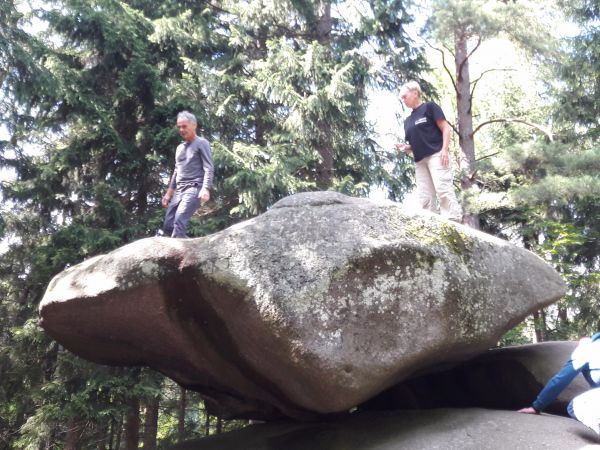 Chybotek zrównoważony