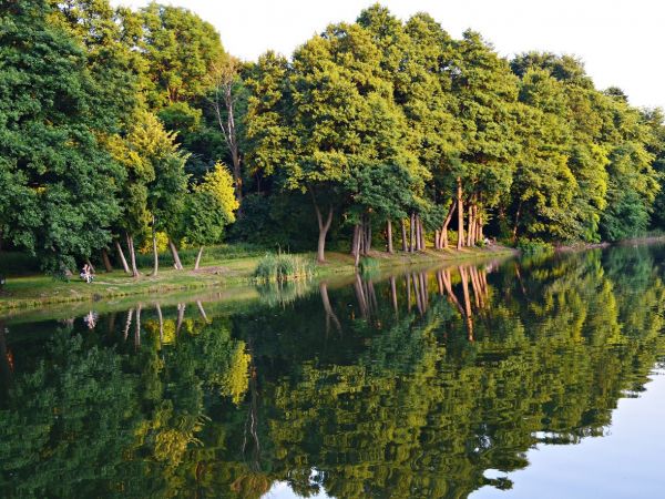 Pałac Raczyńskich w Złotym Potoku