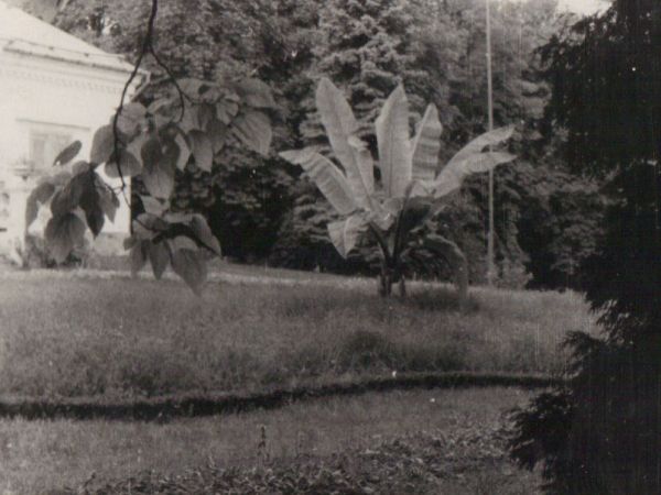 Skrzydlów przedwojenny.