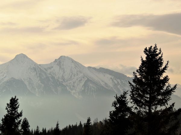Zdiar, widok z  "Bachledki"