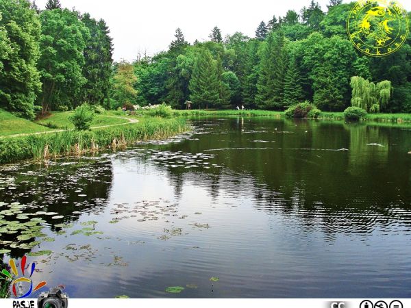 ⚐..w parku(♤↟↟↟♧) zdrojowym Połczyna-Zdroju