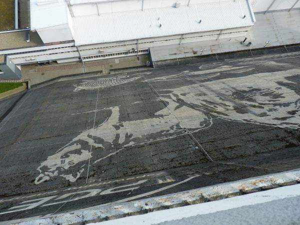 Solina,Tras widokowy.