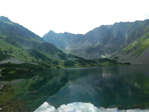 Ciemnosmreczyński Staw.