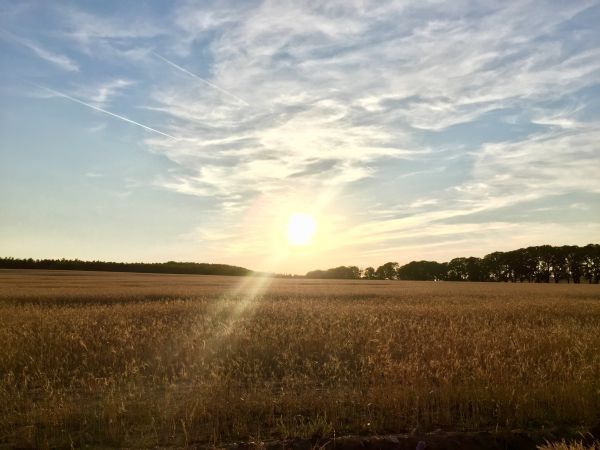 Zachód Słońca- Złoty Potok (Jura Krakowsko-Częstochowska)