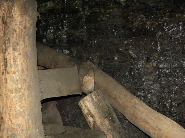 Kopalnia Guido-poziom 320 m-pokład węgla