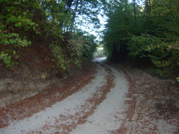 Poznajemy historie i obyczaje mieszkańców wsi Huszczka Duża