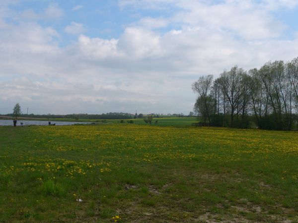 waśniowskie Błonia-wiosną