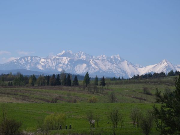 Polana pod trzema Koronami - w tle Taty