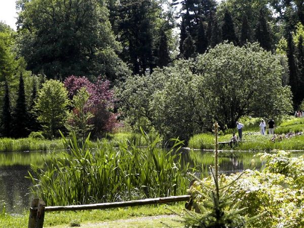 Ogród Dendrologiczny Przelewice