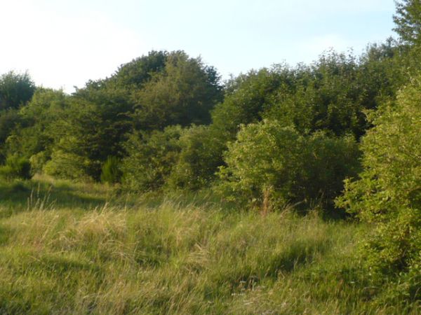 Plaża i inne cudowne miejsca