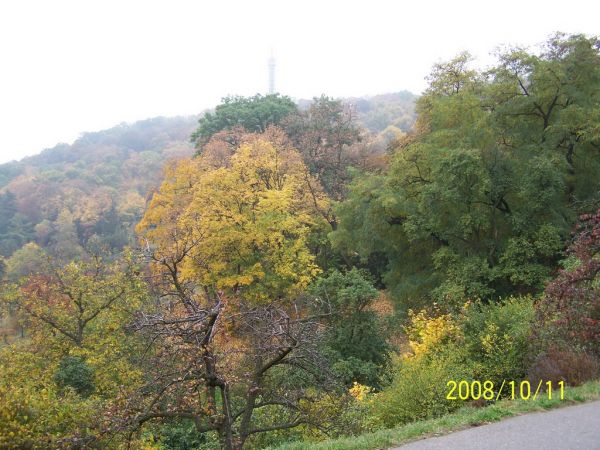 Widok ze Wzgórza Petrzin