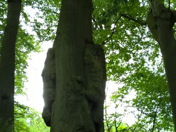 Świnoujście, Wzgórze Golm, Międzyzdroje