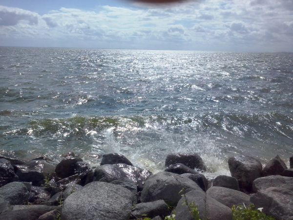 Zdjęcia z tras rowerowych wokół Świnoujścia + ratusz i filharmonia w Szczecinie