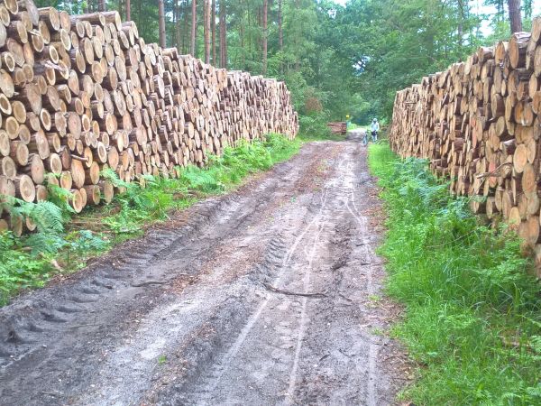 Świnoujście, Wzgórze Golm, Międzyzdroje