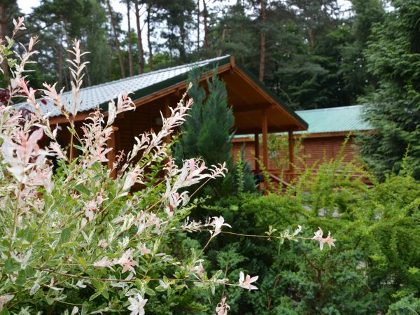 Domki  drewniane w Sierakowie