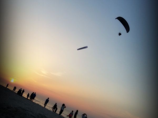 Karwieńskie Błota ,sierpień 2017 r.